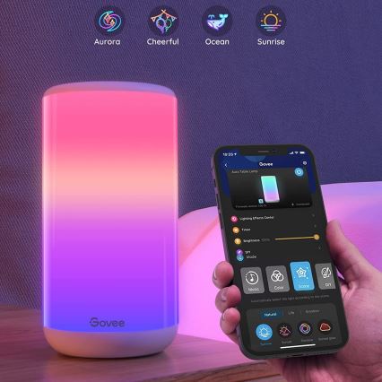 Govee - LED RGBIC Pritemdomas stalinis šviestuvas AURA 2 2200-6500K Wi-Fi Matter