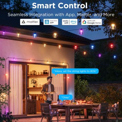 Govee - LED RGBICW Pritemdomas lauko Dekoratyvinė girlianda LED/24W/230V IP67 2700-6500K Wi-Fi