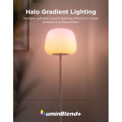 Govee - LED RGBICWW reguliuojama grindinė lempa LANTERN MATTER LED/24W/230V Wi-Fi 160 cm
