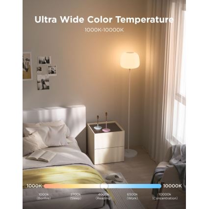 Govee - LED RGBICWW reguliuojama grindinė lempa LANTERN MATTER LED/24W/230V Wi-Fi 160 cm