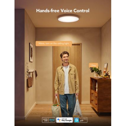 Govee - dimeriuojamas LED RGBICWW lubų šviestuvas, 29 W, 230 V, skersmuo 30 cm, Matter, Wi-Fi