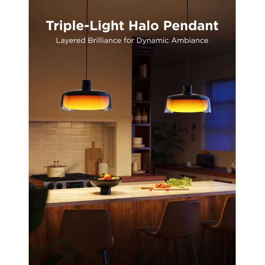 Govee - LED RGBICWW Dimeriuojamas pakabinamas šviestuvas ant laido LED/21W/230V Matter Wi-Fi