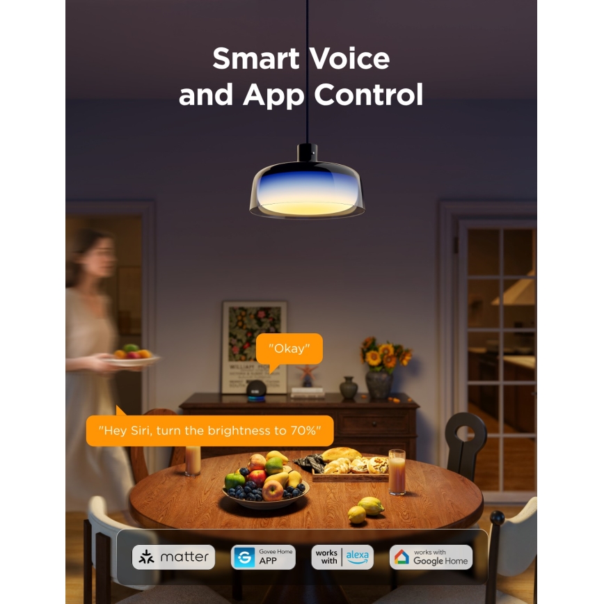 Govee - LED RGBICWW Dimeriuojamas pakabinamas šviestuvas ant laido LED/21W/230V Matter Wi-Fi