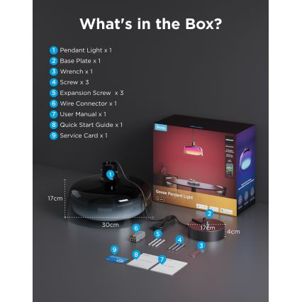 Govee - LED RGBICWW Dimeriuojamas pakabinamas šviestuvas ant laido LED/21W/230V Matter Wi-Fi