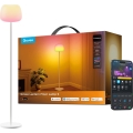 Govee - LED RGBICWW reguliuojama grindinė lempa LANTERN MATTER LED/24W/230V Wi-Fi 160 cm