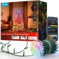 Govee - LED RGBWIC Lauko kalėdinė girlianda 2700-6500K 30m Wi-Fi Matter IP65