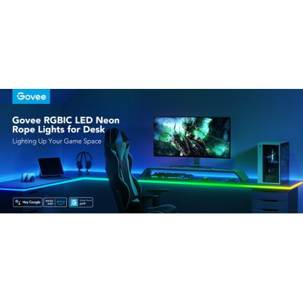 Govee - Neon LED stalo foninis apšvietimas 3m RGBIC Wi-Fi