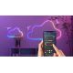 Govee - Neon SMART lankstomas LED juosta - RGBIC - 5m Wi-Fi IP67