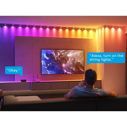Govee - RGBIC LED Pakabinami šviestuvai 3m Wi-Fi