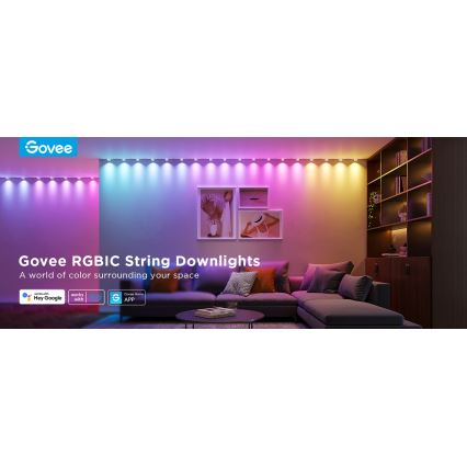 Govee - RGBIC LED Pakabinami šviestuvai 3m Wi-Fi