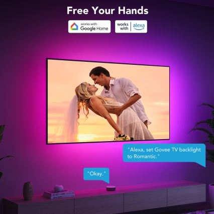 Govee - TV 40-50 Išmanusis LED foninis apšvietimas RGBIC Wi-Fi