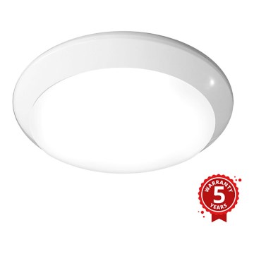 Greenlux GXPR080 - LED lubinis industrinis apšvietimas RENO PROFI LED/16W/230V IP66 4000K