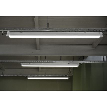 Greenlux GXWP382 - LED liuminescencinis techninis šviestuvas DUST PRO LED/70W/230V IP66 4000K