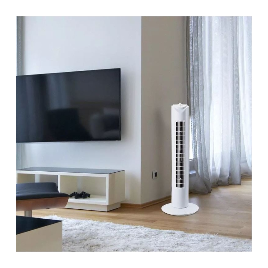 Grindinis ventiliatorius su laikmačiu 45W/230V baltas