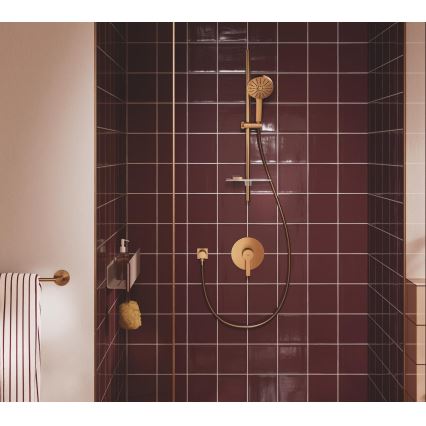 GROHE 134866DL00 - dušo komplektas VITALIO JOY+ 120 mm varinis