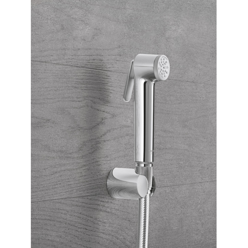 GROHE 26352000 - Rankinė dušo galvutė TEMPESTA-F TRIGGER SPRAY 30 36 mm blizgus chromas