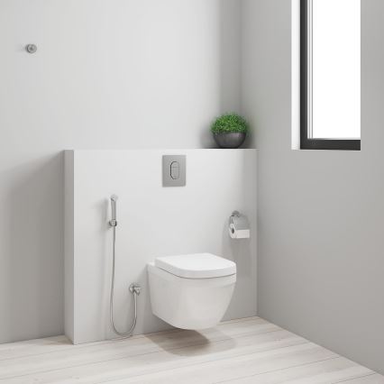 GROHE 26354000 - Rankinė dušo galvutė TEMPESTA-F, 1250 mm, blizgus chromas