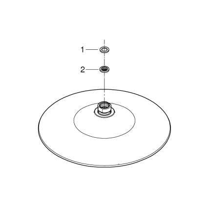 GROHE 26456000 - EUPHORIA dušo galva Ø 260 mm blizgus chromas