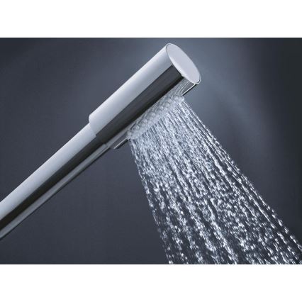GROHE 28034000 - Rankinė dušo galvutė SENA, poliruoto chromo apdaila