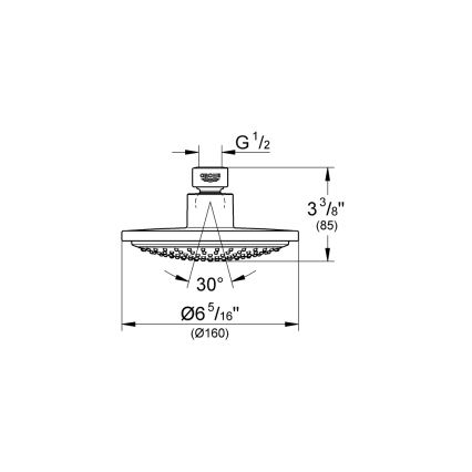 GROHE 28233000 - Viršutinė dušo galvutė EUPHORIA COSMOPOLITAN 160 blizgus chromo paviršius