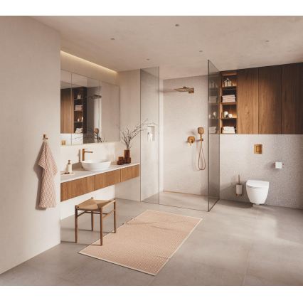 GROHE 28362DA1 - Dušo žarna SILVERFLEX 1250 mm varinė
