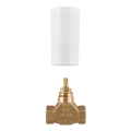 GROHE 29800000 - Potinkinio vožtuvo apačioji dalis DN 15, žalvaris