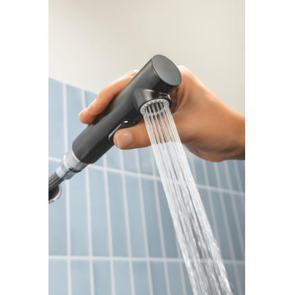 GROHE 30270AL0 - Virtuvinis maišytuvas ESSENCE grafito spalvos
