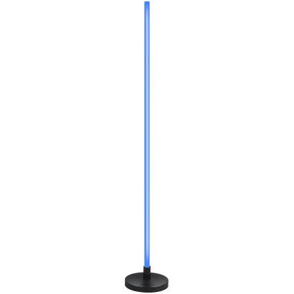 Grundig - LED RGB reguliuojamas toršeras LED/5W/5V + nuotolinis valdymas