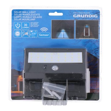Grundig - LED Saulės energijos šviestuvas su judesio ir sutemų jutikliu LED/0,25W/1xAA 300 mAh