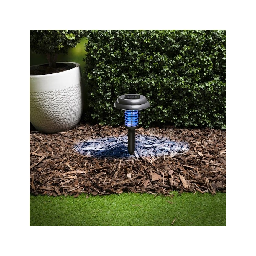 Grundig - LED saulės lempa ir vabzdžių gaudyklė UV LED/1xAA 600 mAh IPX4