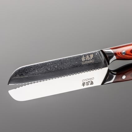 Gudaro - 5 vnt. Damasko plieno virtuvinių peilių rinkinys KENSHO + magnetinis laikiklis