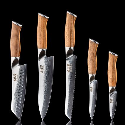 Gudaro - 5 vnt. TAKUMI damasko plieno virtuvinių peilių rinkinys + magnetinė peilių juosta