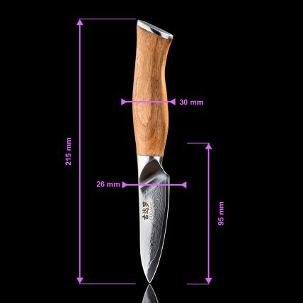 Gudaro - Damasko plieno virtuvinis peilis TAKUMI 3,5, 67 sluoksnių, ilgis 9,5 cm, riešutmedžio rankena