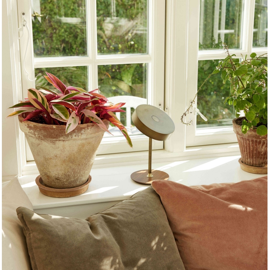 Halo Design 745784 - LED su reguliuojamu ryškumu įkraunama stalinė lempa ON THE MOVE LED/2,5W/4000 mAh žalvaris/mediena