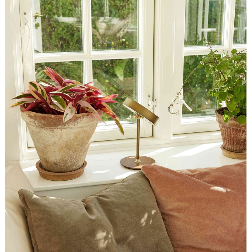 Halo Design 745784 - LED su reguliuojamu ryškumu įkraunama stalinė lempa ON THE MOVE LED/2,5W/4000 mAh žalvaris/mediena