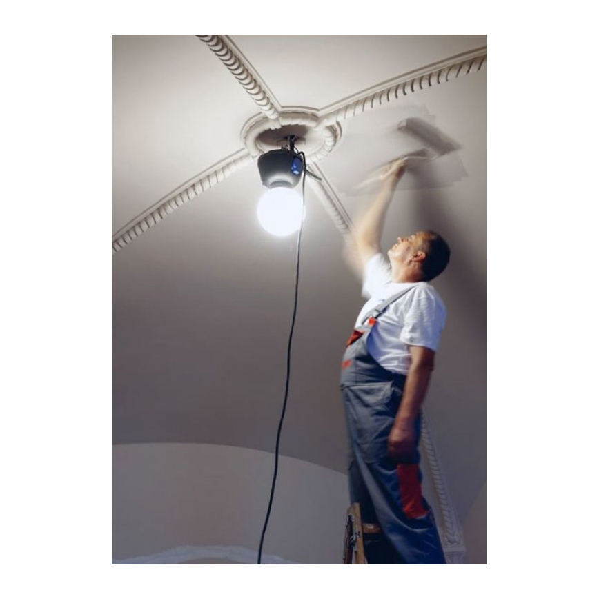Helios 306-WLG223 - LED lauko šviestuvas WORK GLOBE 2 LED/23W/230V IP44