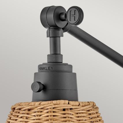 Hinkley - Sieninis taškinis šviestuvas ARTI 1xE27/60W/230V juodas/rudas