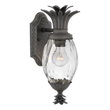 Hinkley - Lauko sieninis šviestuvas PLANTATION 1xE27/40W/230V IP44 juoda