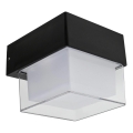 HÖFFTECH - LED Lauko sieninis šviestuvas LED/4W/230V IP65