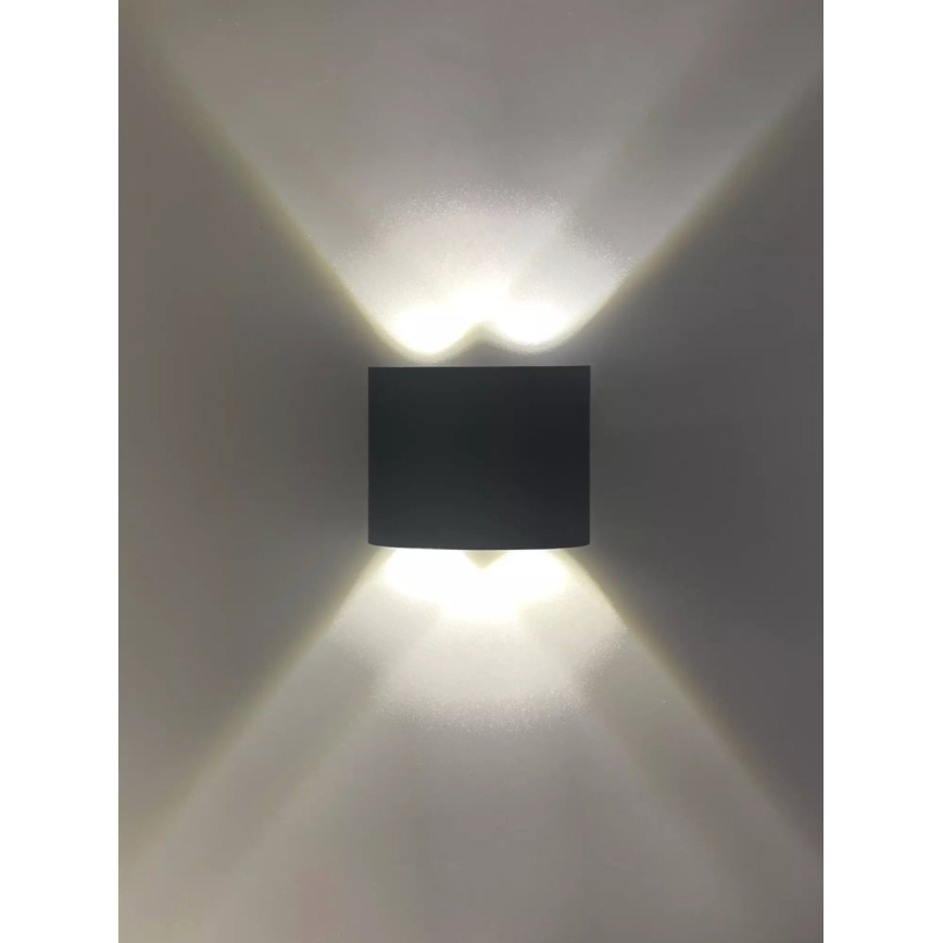 HÖFFTECH - LED lauko sieninis šviestuvas UP&DOWN 4xLED/1W/230V IP65