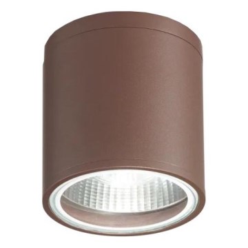 Ideal Lux - Akcentinis vonios šviestuvas GUN 1xGU10/28W/230V IP55 ruda