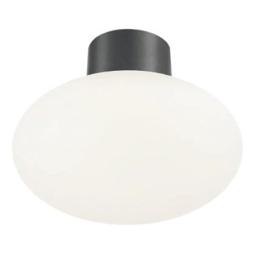 Ideal Lux - Lauko lubinis šviestuvas CLIO 1xE27/42W/230V IP44 antracitas