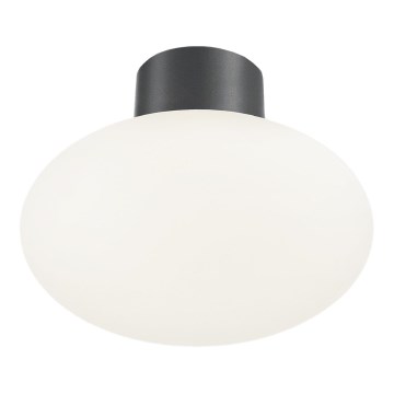 Ideal Lux - Lauko lubinis šviestuvas CLIO 1xE27/42W/230V IP44 antracitas