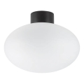 Ideal Lux - Lauko lubinis šviestuvas CLIO 1xE27/42W/230V IP44 juoda