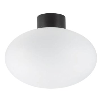 Ideal Lux - Lauko lubinis šviestuvas CLIO 1xE27/42W/230V IP44 juodas
