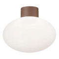 Ideal Lux - Lauko lubinis šviestuvas CLIO 1xE27/42W/230V IP44 rudos spalvos