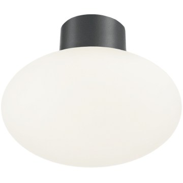 Ideal Lux - Lauko lubinis šviestuvas CLIO 1xE27/42W/230V Ø 28 cm IP44 antracitas