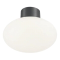 Ideal Lux - Lauko lubų šviestuvas CLIO 1xE27/42W/230V IP44 antracitas