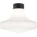 Ideal Lux - Lauko lubų šviestuvas CLIO 1xE27/42W/230V IP44 juodas