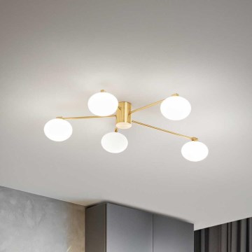 Ideal Lux - LED Ant pagrindo montuojamas sietynas HERMES 5xG9/3W/230V diametras 90 cm auksas